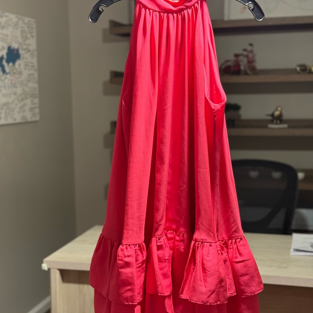 Erna Alice + Olivia Dress - Picture 5 of 5